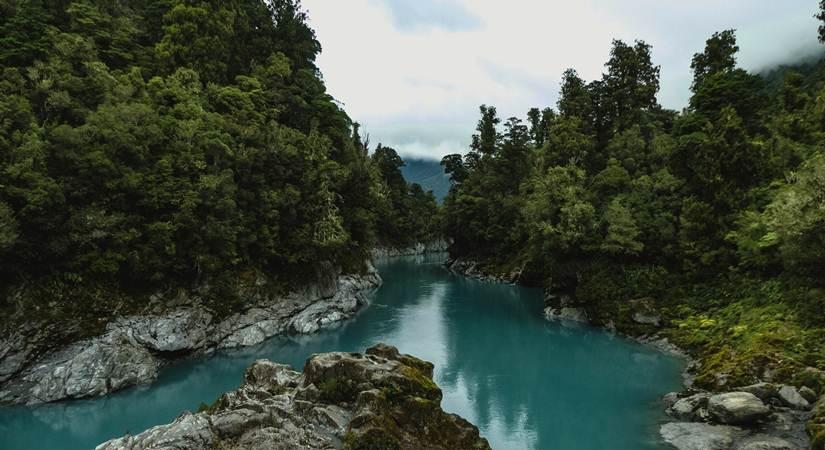 To all the beach bums: Discover New Zealand’s Coastal Gems